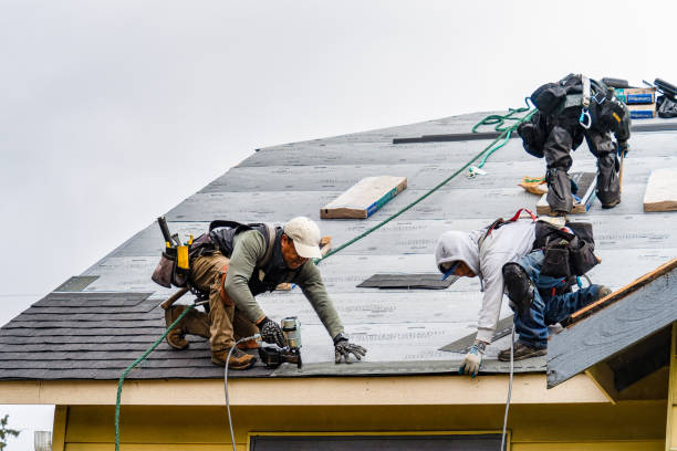 Professional Gutter Installation technician working in Sardis, GA